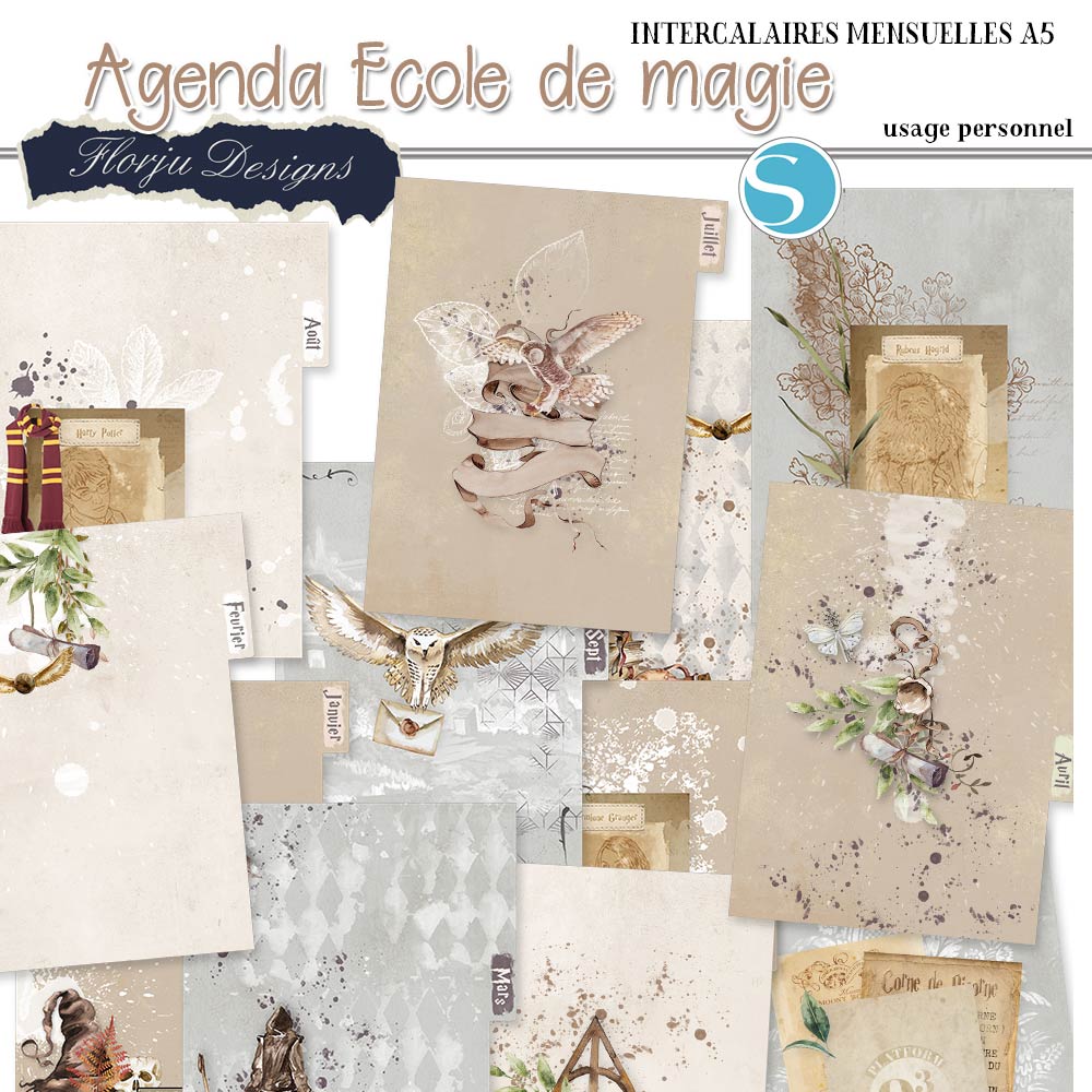 agenda A5 harry Pv_age12
