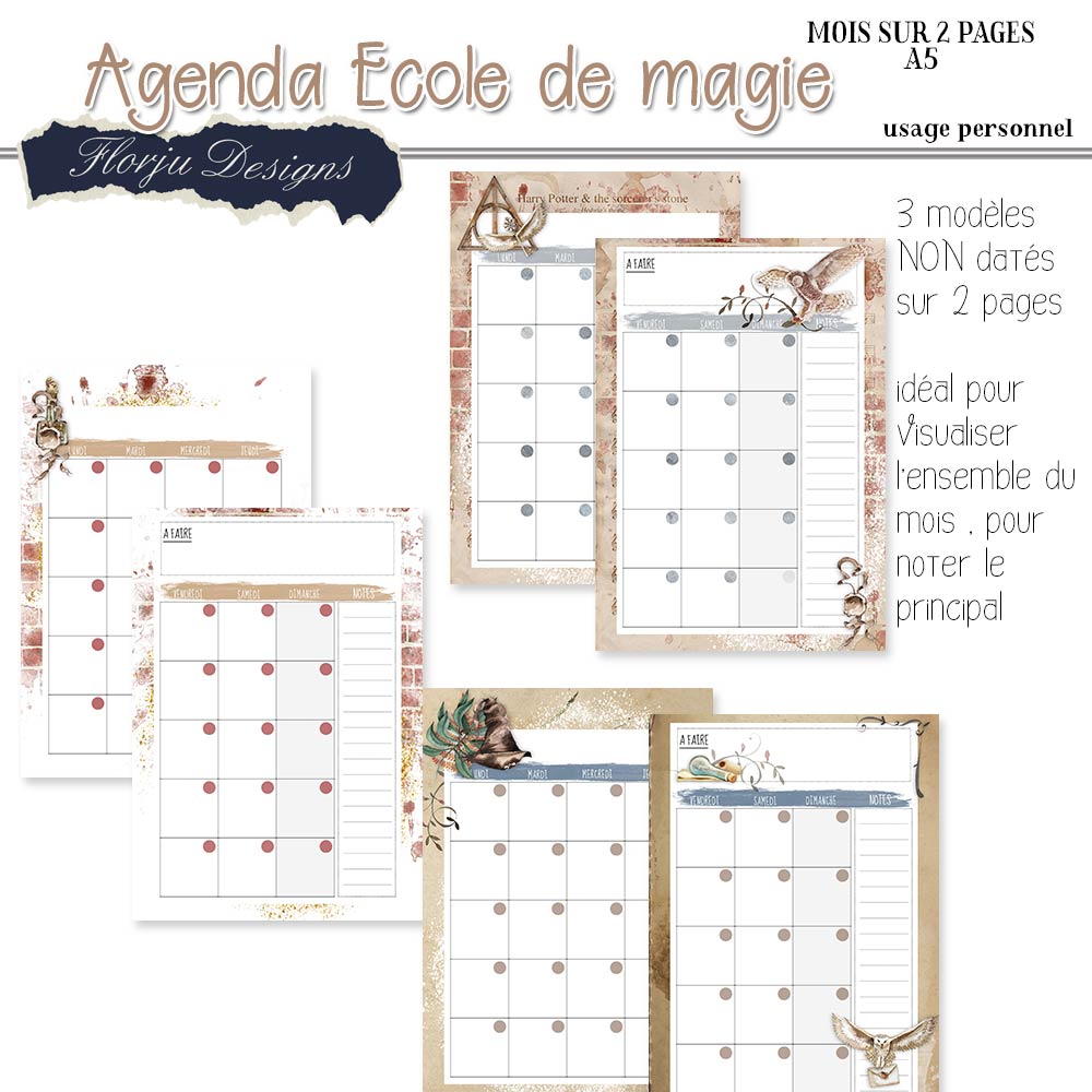 agenda A5 harry Pv_age13