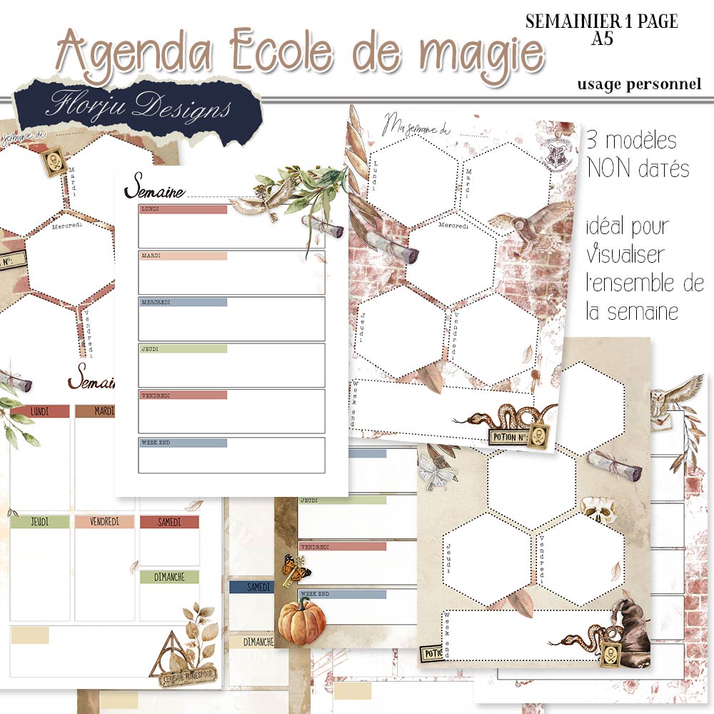 agenda A5 harry Pv_age17