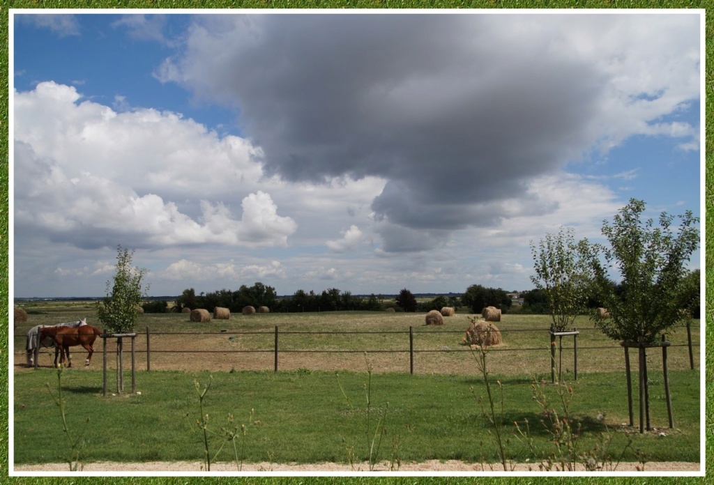 Thème du mois d'août 2018 :  À la campagne  Dsc09029