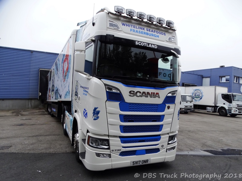 Scania série S (2016- ...) - Page 3 Whitel11