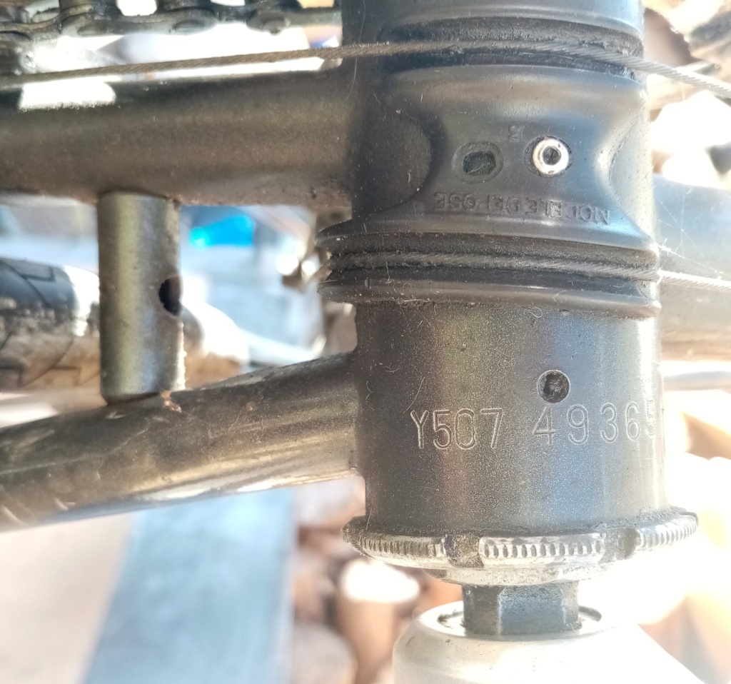 PEUGEOT course BBT 1985 PH 11 05515