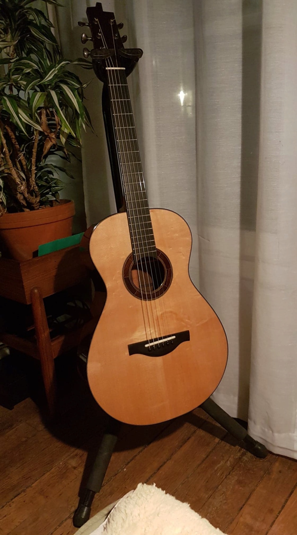 Benjamin Paldacci Guitars OO-12 #11 - Higuerilla et Épicéa Lutz  78075110