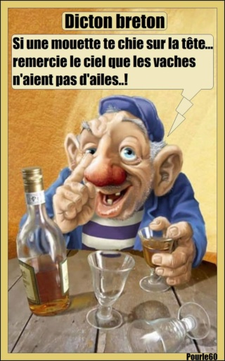 Dictons du 1er Octobre 24334610