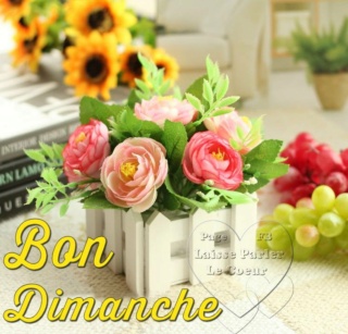 Bonjour / bonsoir de Janvier  - Page 6 68824313