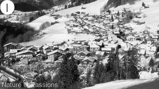 Présentation des photos du mois de février I18