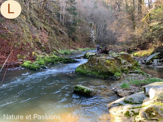 Présentation des photos du mois de mars L19