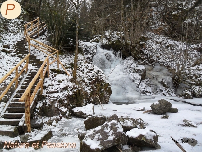 Présentation des photos du mois de janvier P13