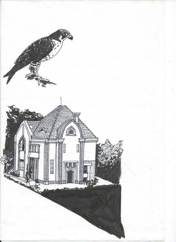 Galerie de lilpowow Oiseau10
