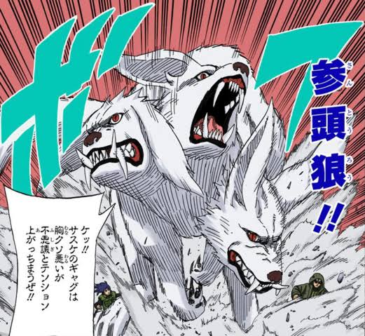 Kurotsuchi VS Kiba Images48