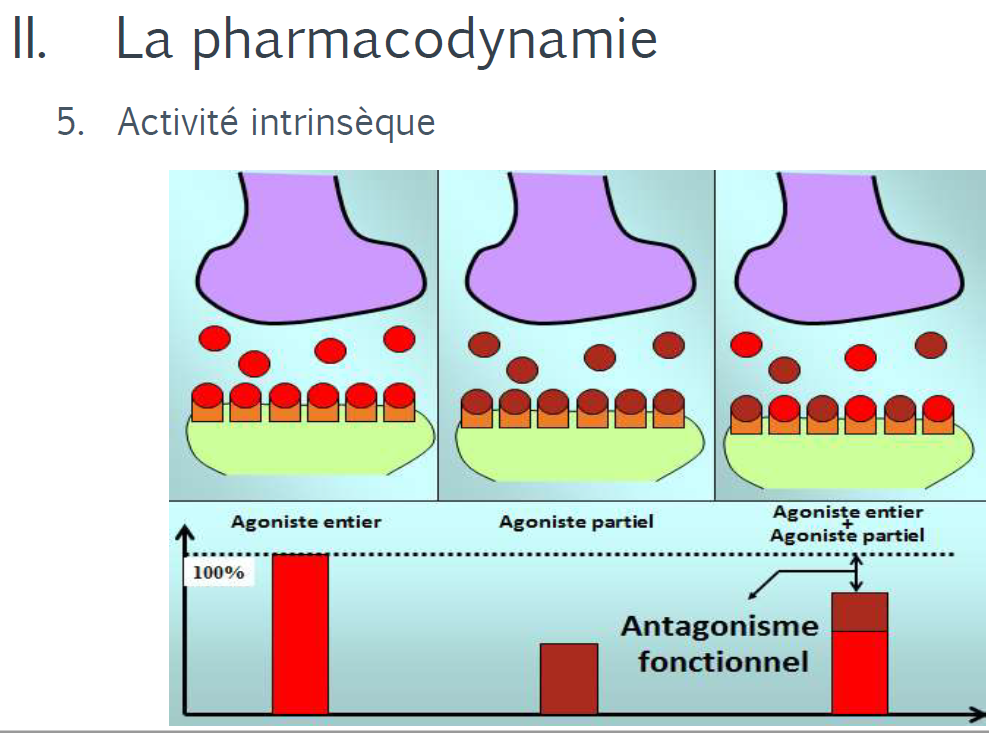 Pharmacodynamie Giraud Captur11