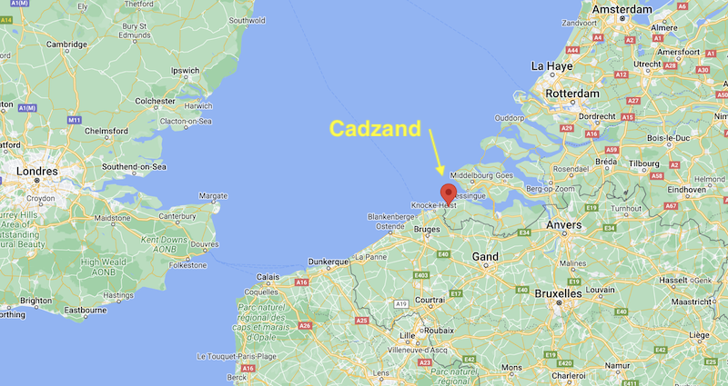 Deux orques s'échouent à Cadzand aux Pays-Bas Captu252