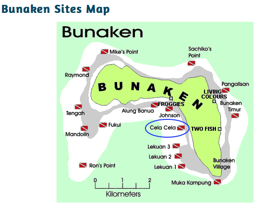 2018 Bunaken - Panorama Dive Resort - Sulawesi - Indonésie Captur48