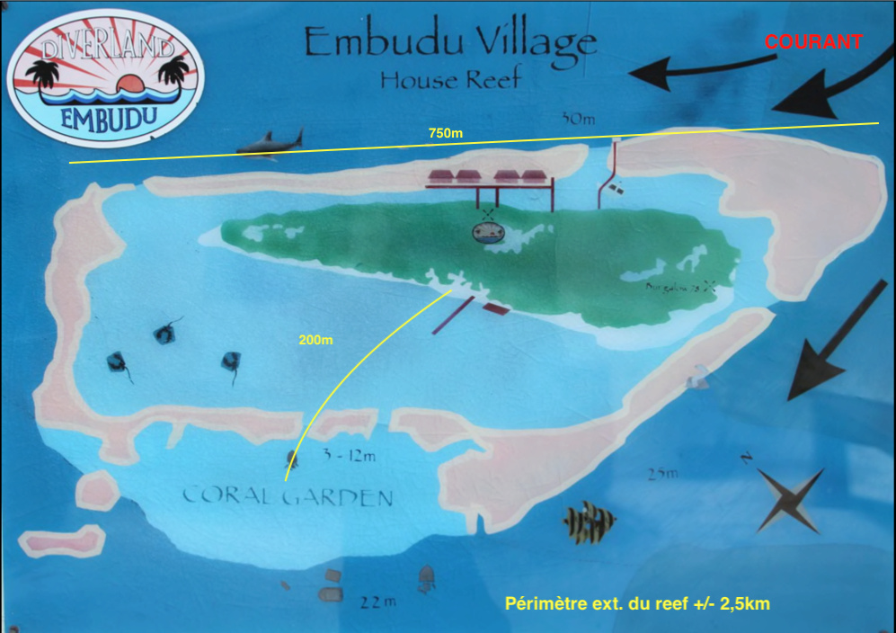 Snorkling a Embudu Village (Maldives) Embudu10