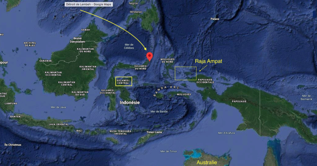Rencontres sous-marines en  Indonésie Indonz10