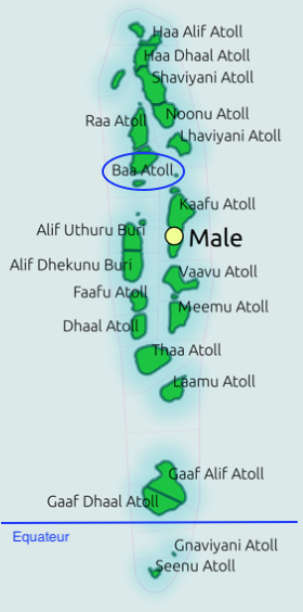 Faune et flore sous-marine des Maldives Maldiv12