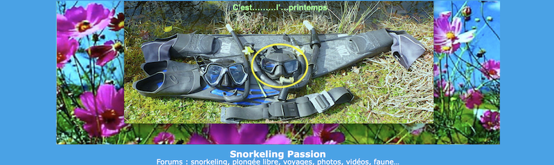 meilleur gilet de snorkelling ? Materi10