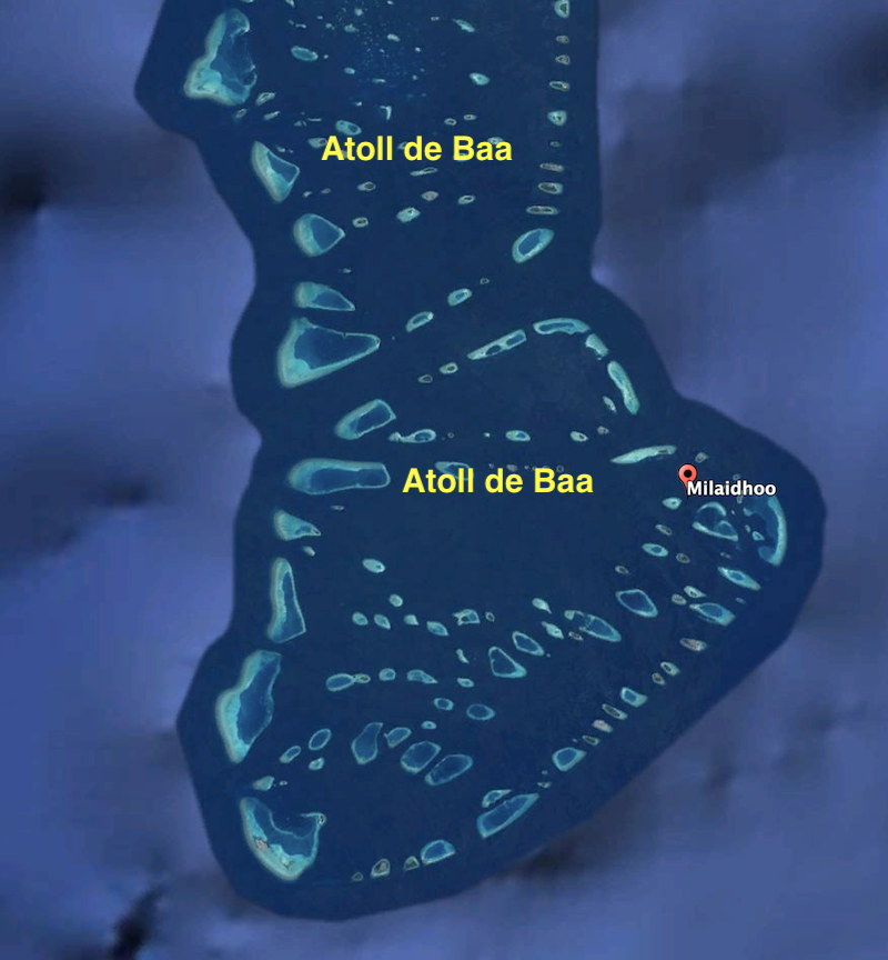 Les 3 meilleurs ‘house reef’ aux Maldives en Snorkeling  Milaid10