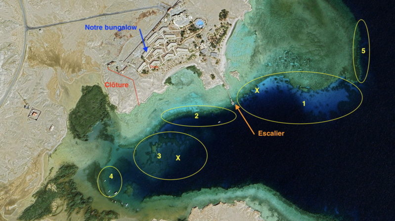  Mer Rouge, à Mangrove Bay en octobre 2023. Plan_m10