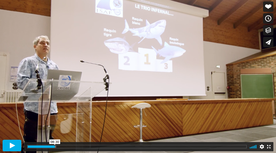 POURQUOI LES REQUINS MORDENT-ILS L’HOMME ? Podium10