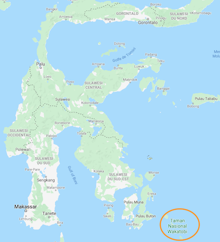 Wakatobi (au sud est de la Sulawesi) en novembre 21 ? Wakato10