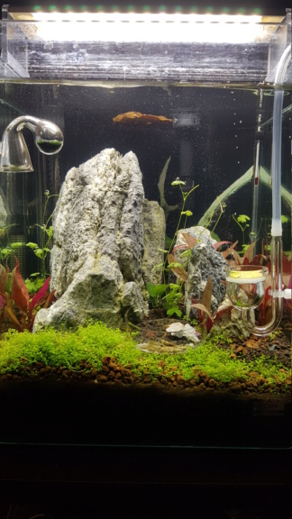 mon  nano de 20 litres 20191219