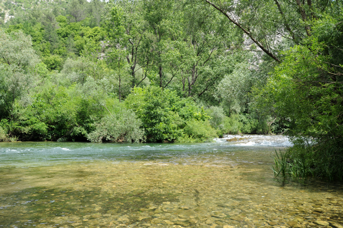 Le Forêt et la Rivière La_for11