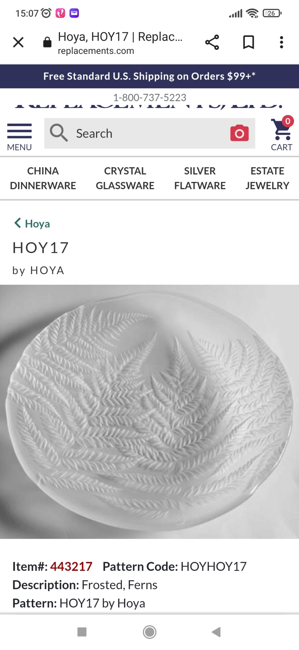 Large frosted glass charger with leaf design - Hoya, Japan Screen10