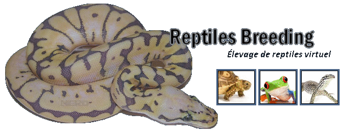 RB - Reptiles Breeding