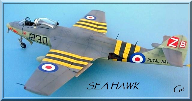 1/48 [Trumpeter] Hawker sea hawk (hshawk) - Page 3 00245