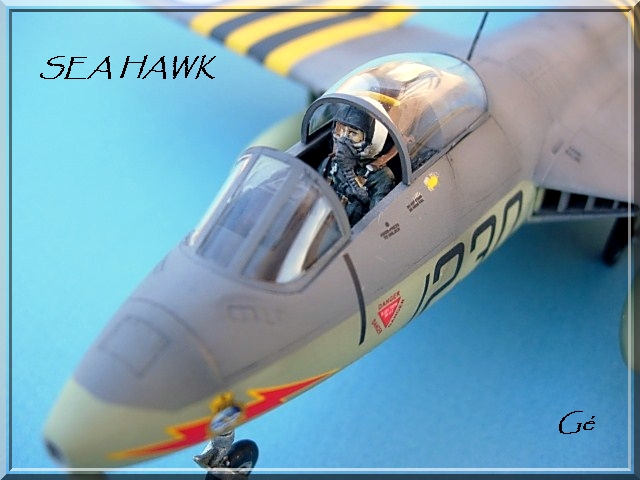 1/48 [Trumpeter] Hawker sea hawk (hshawk) - Page 3 00346