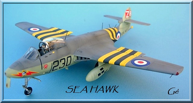 1/48 [Trumpeter] Hawker sea hawk (hshawk) - Page 3 00430