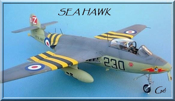 1/48 [Trumpeter] Hawker sea hawk (hshawk) - Page 3 00528
