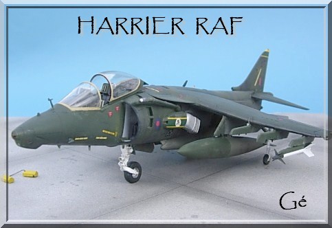 1/48 Hasegawa HARRIER GR Mk5 Royal air force 00620