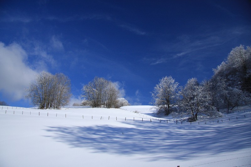 la neige de retour en force Neige_11