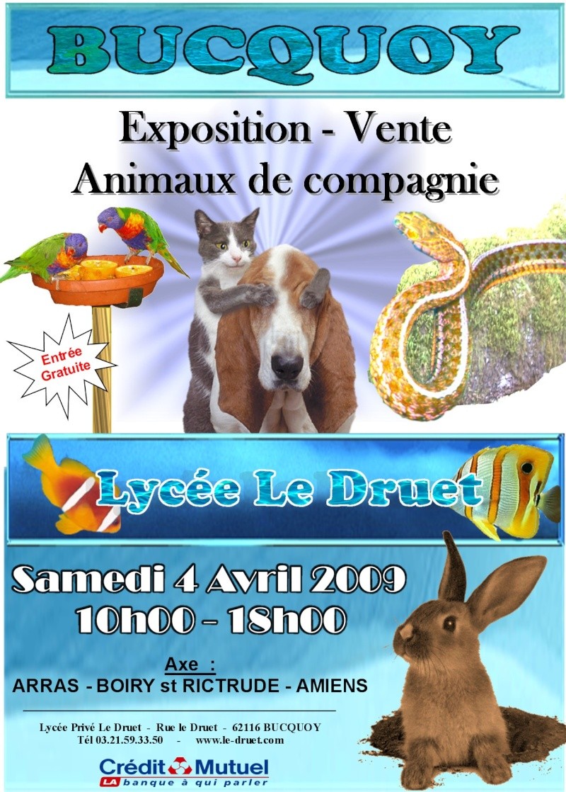 expo-vente au lycée le Druet de Bucquoy (62) Affich12