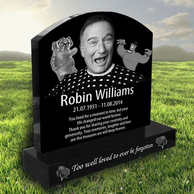 ROBIN WILLIAM  Origin13