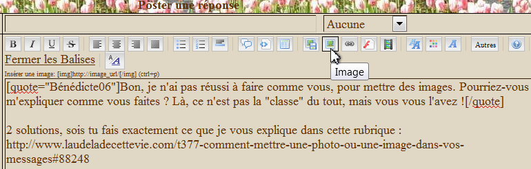 Comment mettre une photo ou une image dans vos messages Ashamp23