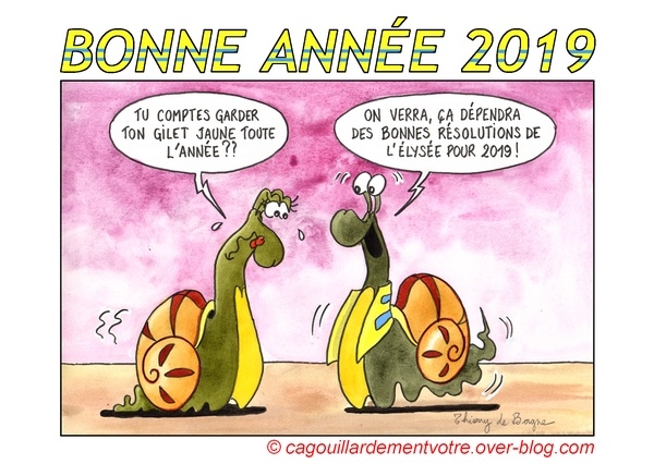 Bonne Année 2019 Ob_dce10