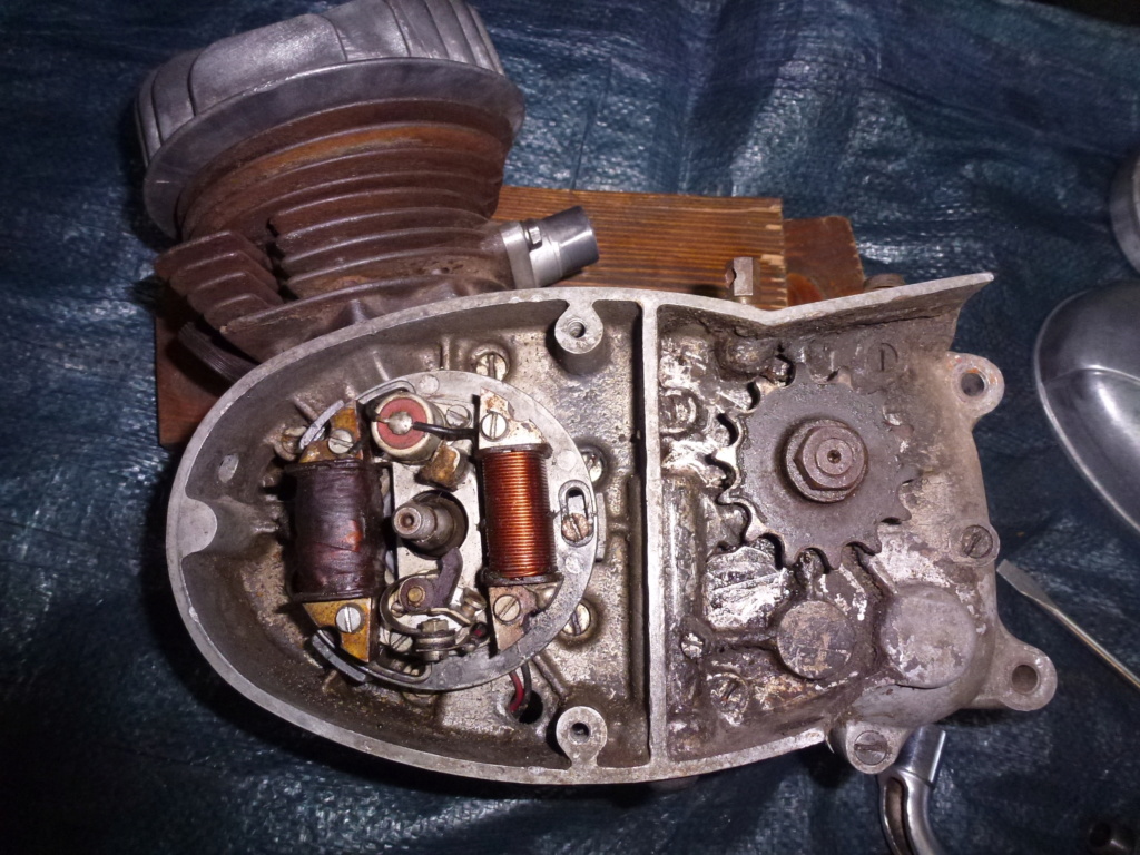 MONDIAL 75cc Scugnizzo P1130720