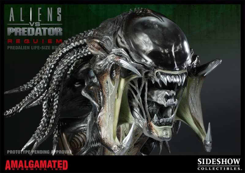  AVsPII : Predalien Life Size Bust 40002314