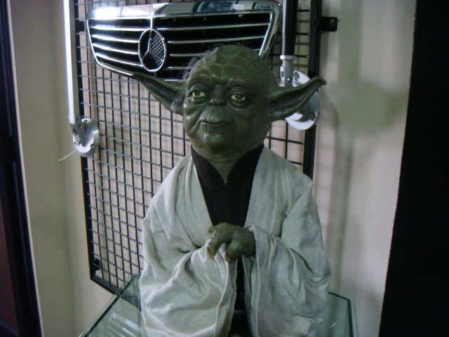 Les photos du net - Page 35 Yoda10