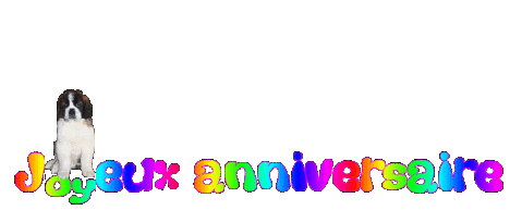Joyeux Anniversaire Chanchan Joyeux Anniversaire Chanchan