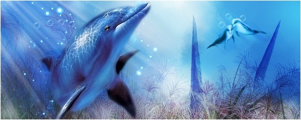 signature dolphin [photoshop cs] Dolphi10