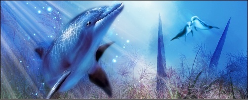 signature dolphin [photoshop cs] Tutodo12