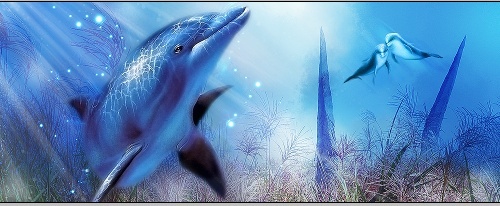 signature dolphin [photoshop cs] Tutodo13