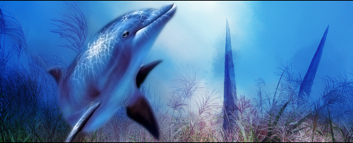 signature dolphin [photoshop cs] Tutodo26