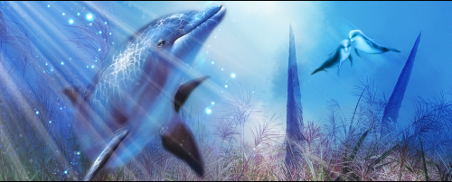 signature dolphin [photoshop cs] Tutodo37