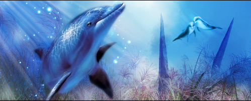 signature dolphin [photoshop cs] Tutodo40