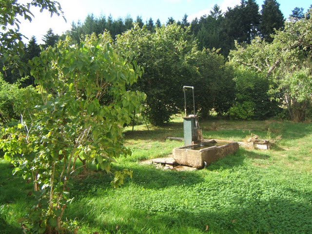 Notre nouvelle maison, ou devrais-je dire, notre nouveau "chantier" ! Jardin10
